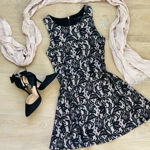 Lace Print Mini Dress